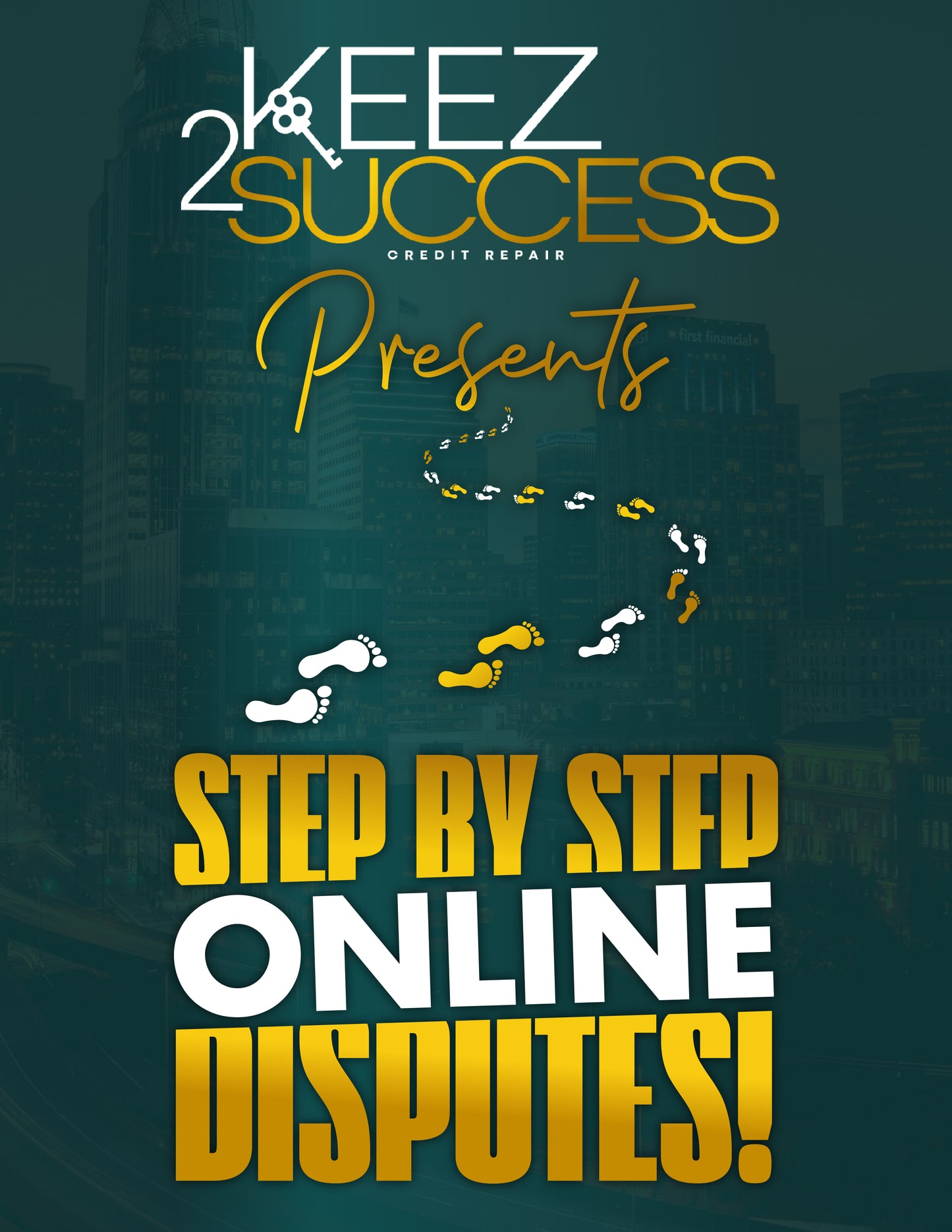 Step by Step Online Disputes:The E-book